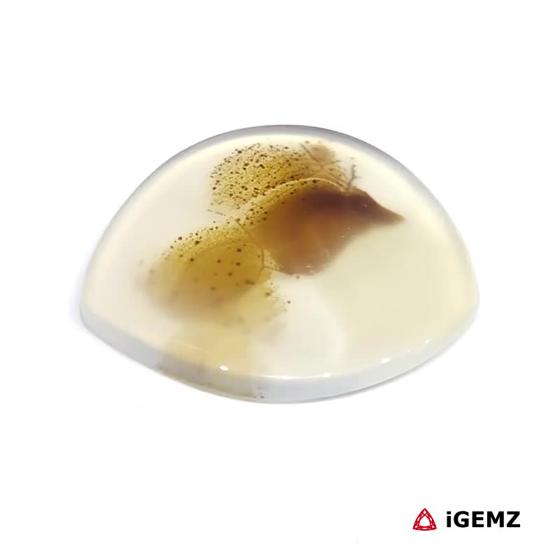 iGemz24567.1 16.8 ct Brown Dendritic Agate - iGemz24567 gemstone for sale at igemz.co.za