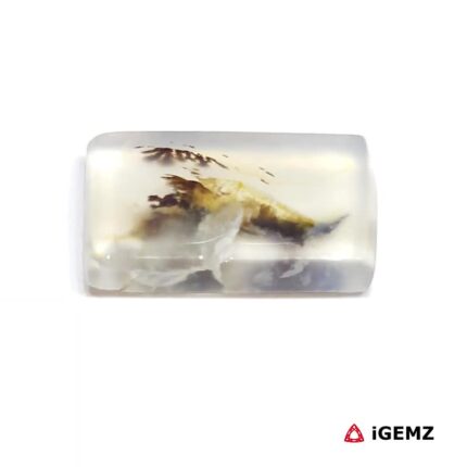 7 ct Brown Dendritic Agate - iGemz24568 gemstone for sale at igemz.co.za