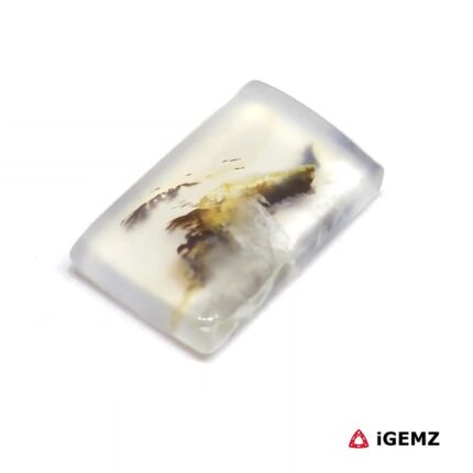 7 ct Brown Dendritic Agate - iGemz24568 gemstone for sale at igemz.co.za