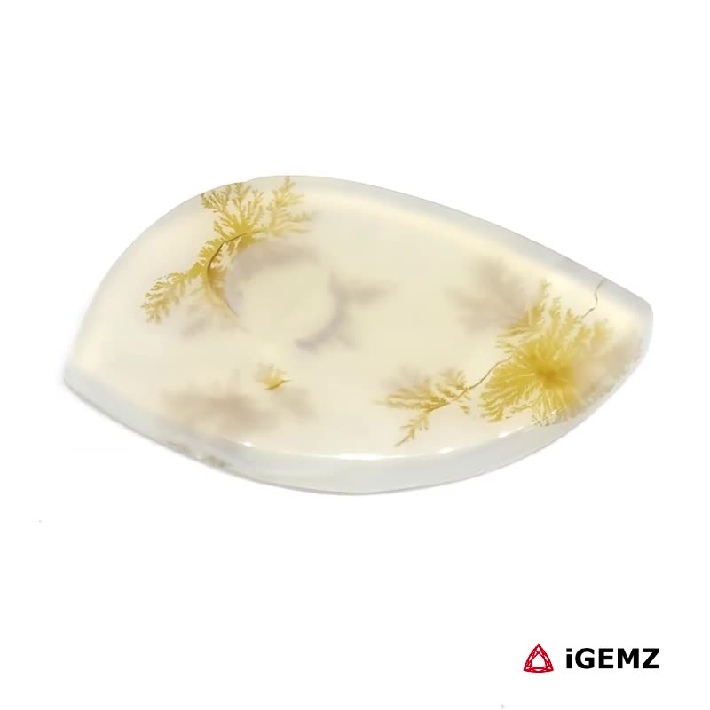 iGemz24569.1 23.97 ct Brown Dendritic Agate - iGemz24569 gemstone for sale at igemz.co.za
