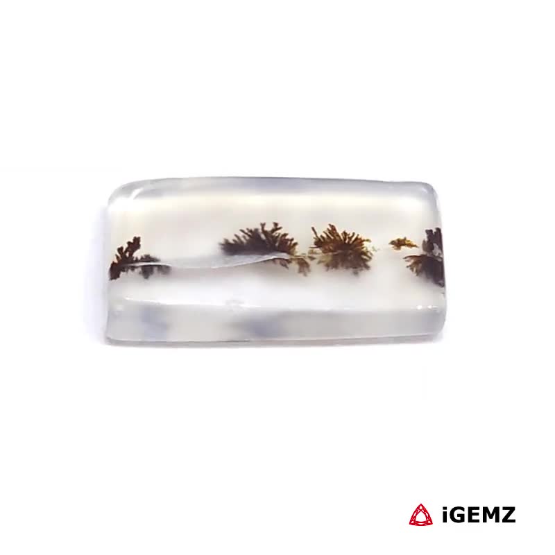 iGemz24570.1 2.55 ct Black Dendritic Agate - iGemz24570 gemstone for sale at igemz.co.za