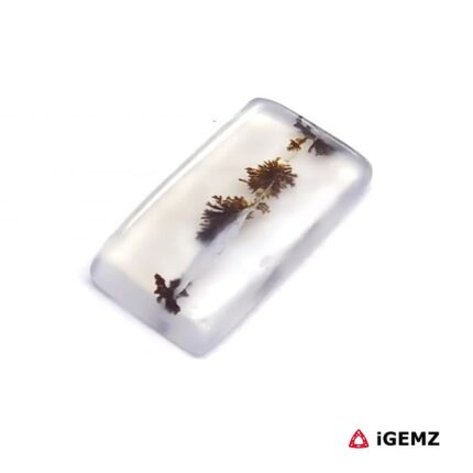 2.55 ct Black Dendritic Agate - iGemz24570 gemstone for sale at igemz.co.za