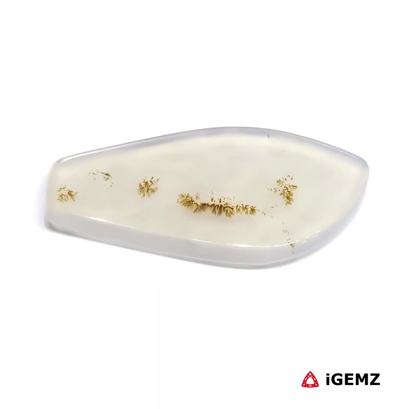 iGemz24571.1 17.6 ct Brown Dendritic Agate - iGemz24571 gemstone for sale at igemz.co.za
