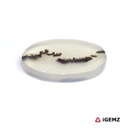 6.74 ct Black Dendritic Agate - iGemz24575 gemstone for sale at igemz.co.za