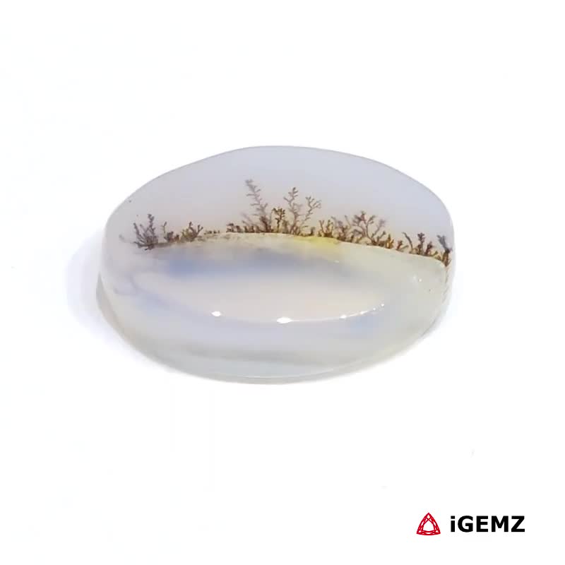 iGemz24577.1 6.16 ct Brown Dendritic Agate - iGemz24577 gemstone for sale at igemz.co.za
