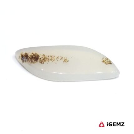 8.74 ct Brown Dendritic Agate - iGemz24578 gemstone for sale at igemz.co.za