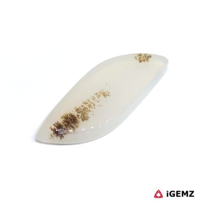 8.74 ct Brown Dendritic Agate - iGemz24578 gemstone for sale at igemz.co.za