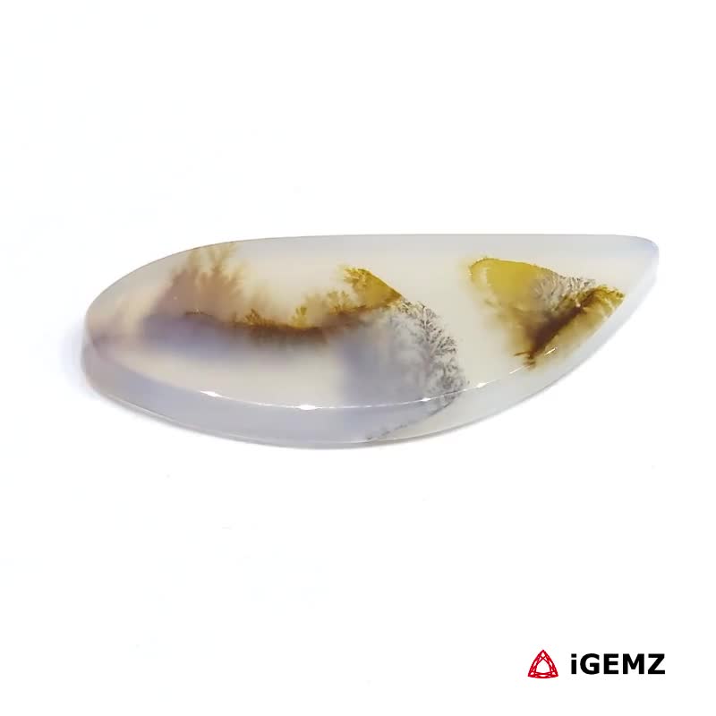iGemz24579.1 10.2 ct Brown Dendritic Agate - iGemz24579 gemstone for sale at igemz.co.za