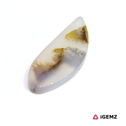 10.2 ct Brown Dendritic Agate - iGemz24579 gemstone for sale at igemz.co.za