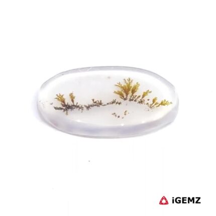 2.12 ct Brown Dendritic Agate - iGemz24581 gemstone for sale at igemz.co.za