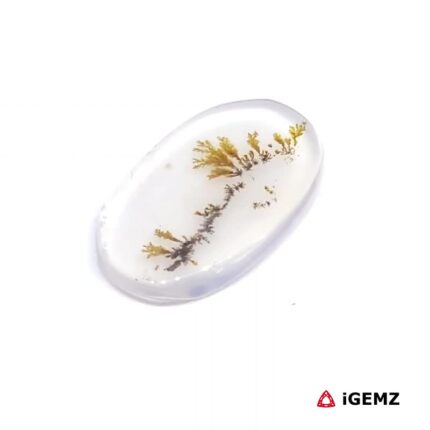 2.12 ct Brown Dendritic Agate - iGemz24581 gemstone for sale at igemz.co.za