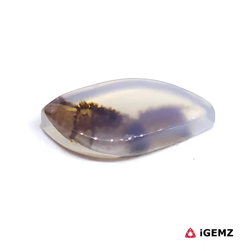 iGemz24583.1 2.56 ct Brown Dendritic Agate - iGemz24583 gemstone for sale at igemz.co.za