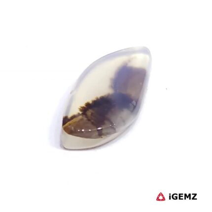 2.56 ct Brown Dendritic Agate - iGemz24583 gemstone for sale at igemz.co.za