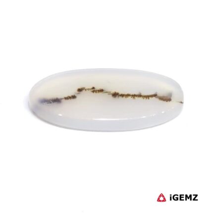 11.99 ct Brown Dendritic Agate - iGemz24585 gemstone for sale at igemz.co.za