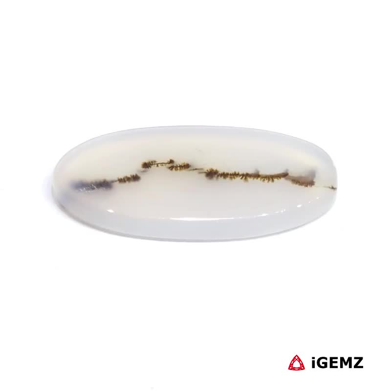 iGemz24585.1 11.99 ct Brown Dendritic Agate - iGemz24585 gemstone for sale at igemz.co.za