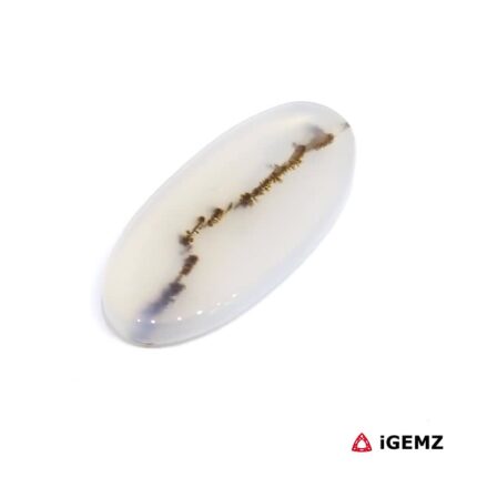 11.99 ct Brown Dendritic Agate - iGemz24585 gemstone for sale at igemz.co.za