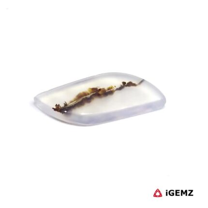 5.1 ct Brown Dendritic Agate - iGemz24586 gemstone for sale at igemz.co.za