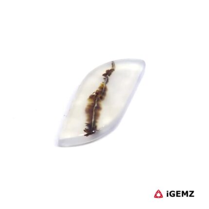 5.1 ct Brown Dendritic Agate - iGemz24586 gemstone for sale at igemz.co.za