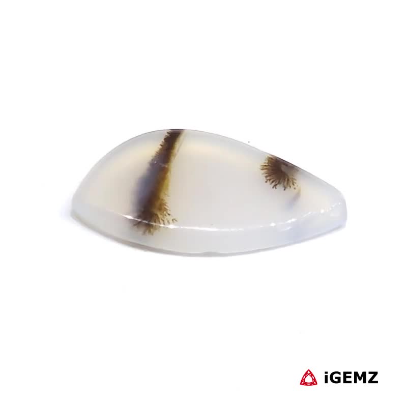 iGemz24587.1 4.61 ct Brown Dendritic Agate - iGemz24587 gemstone for sale at igemz.co.za