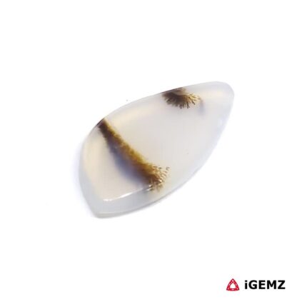 4.61 ct Brown Dendritic Agate - iGemz24587 gemstone for sale at igemz.co.za