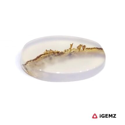 4.44 ct Brown Dendritic Agate - iGemz24589 gemstone for sale at igemz.co.za