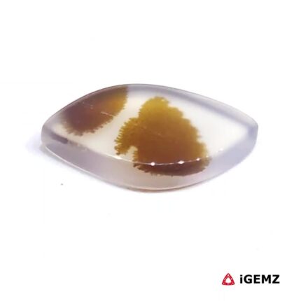 3 ct Brown Dendritic Agate - iGemz24590 gemstone for sale at igemz.co.za