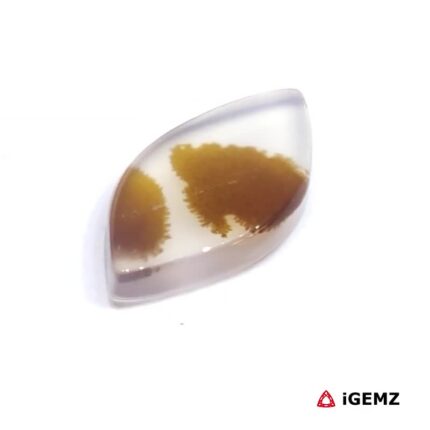 3 ct Brown Dendritic Agate - iGemz24590 gemstone for sale at igemz.co.za