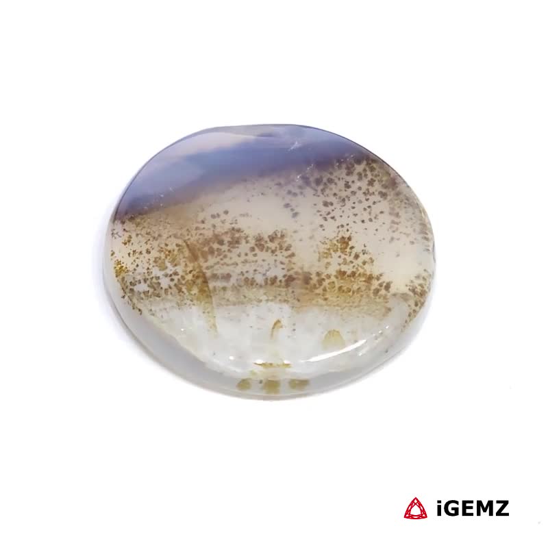 iGemz24591.1 11.18 ct Brown Dendritic Agate - iGemz24591 gemstone for sale at igemz.co.za