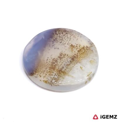 11.18 ct Brown Dendritic Agate - iGemz24591 gemstone for sale at igemz.co.za