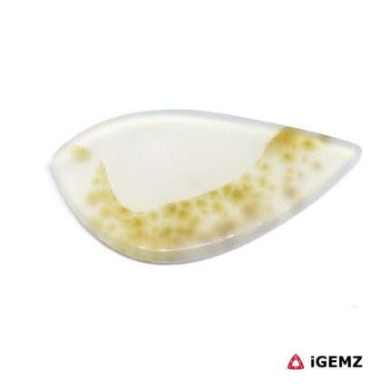 25.9 ct Brown Dendritic Agate - iGemz24595 gemstone for sale at igemz.co.za