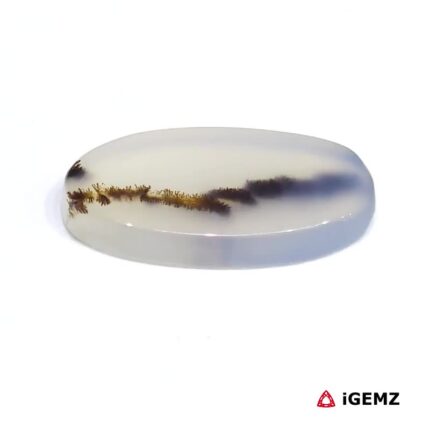 9.29 ct Brown Dendritic Agate - iGemz24596 gemstone for sale at igemz.co.za