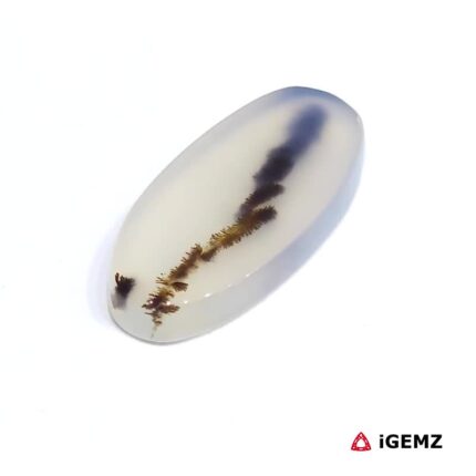 9.29 ct Brown Dendritic Agate - iGemz24596 gemstone for sale at igemz.co.za