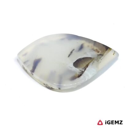 29.1 ct Brown Dendritic Agate - iGemz24597 gemstone for sale at igemz.co.za