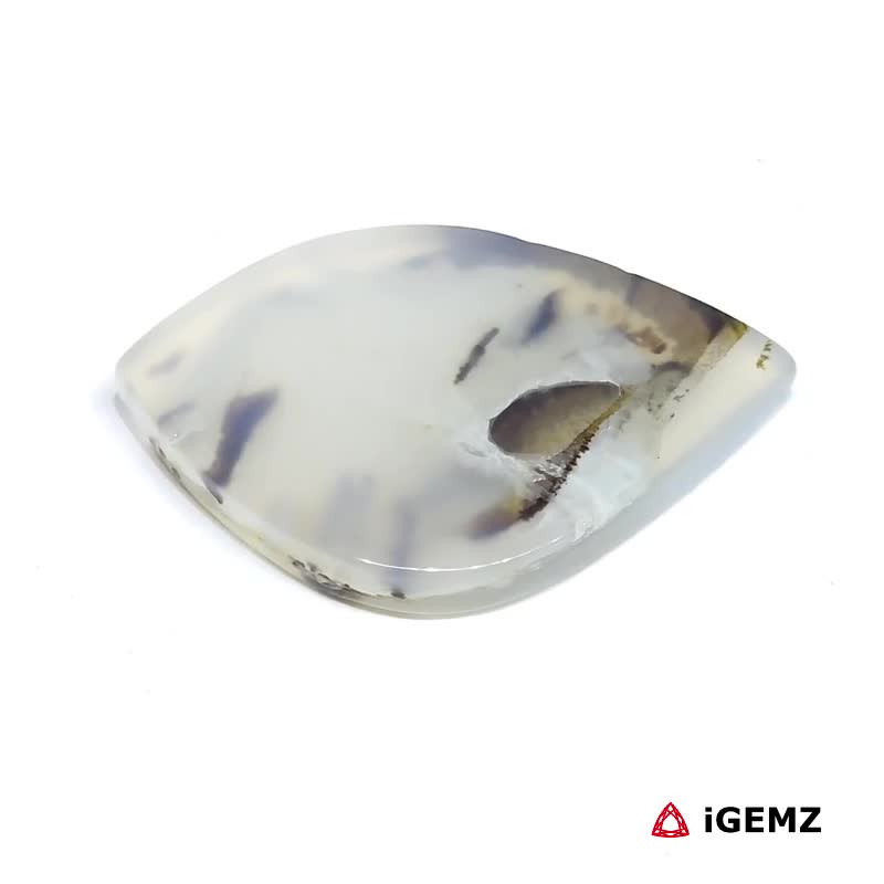 iGemz24597.1 29.1 ct Brown Dendritic Agate - iGemz24597 gemstone for sale at igemz.co.za