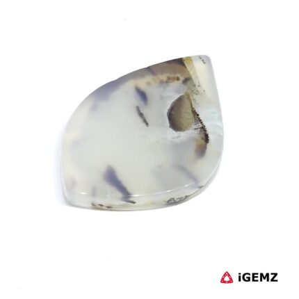 29.1 ct Brown Dendritic Agate - iGemz24597 gemstone for sale at igemz.co.za