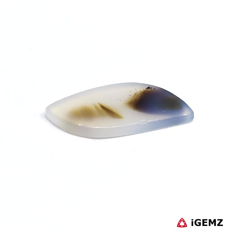 iGemz24598.1 7.5 ct Brown Dendritic Agate - iGemz24598 gemstone for sale at igemz.co.za