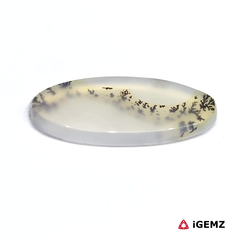 iGemz24601.1 9.38 ct Black Dendritic Agate - iGemz24601 gemstone for sale at igemz.co.za