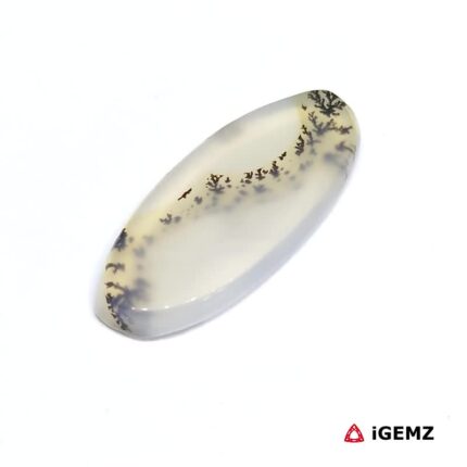 9.38 ct Black Dendritic Agate - iGemz24601 gemstone for sale at igemz.co.za