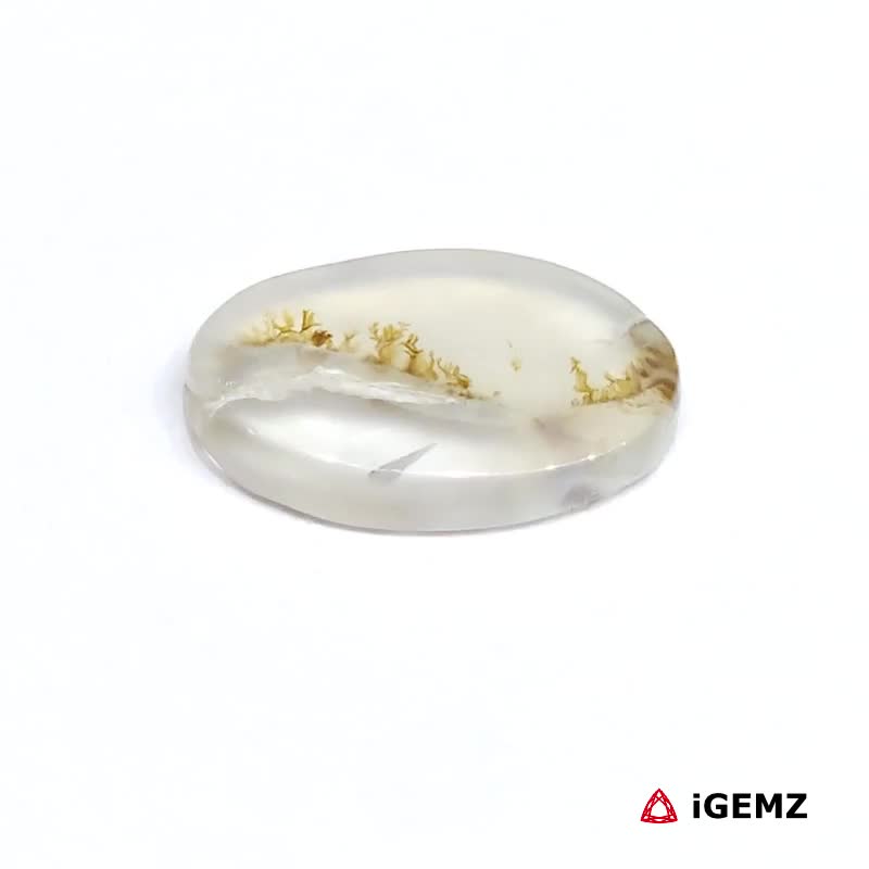 iGemz24603.1 4 ct Brown Dendritic Agate - iGemz24603 gemstone for sale at igemz.co.za