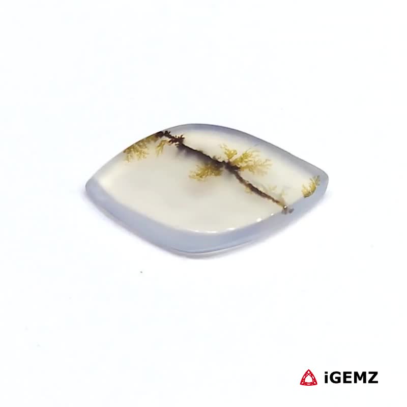 iGemz24606.1 2.69 ct Brown Dendritic Agate - iGemz24606 gemstone for sale at igemz.co.za