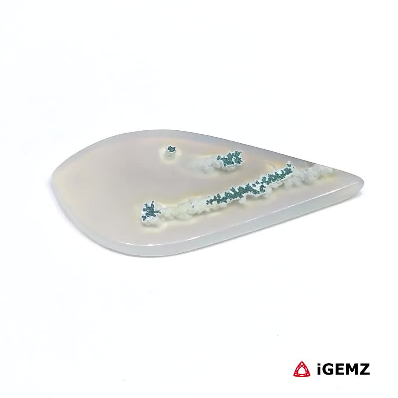 iGemz24607.1 16.21 ct White Dendritic Agate - iGemz24607 gemstone for sale at igemz.co.za