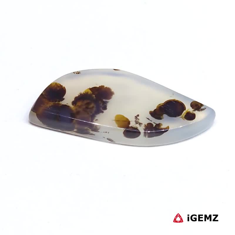iGemz24608.1 10 ct Brown Dendritic Agate - iGemz24608 gemstone for sale at igemz.co.za