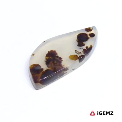 10 ct Brown Dendritic Agate - iGemz24608 gemstone for sale at igemz.co.za