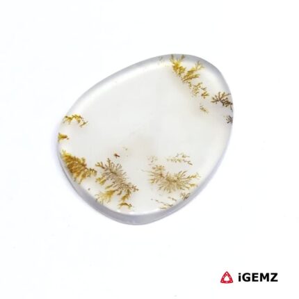 13.68 ct Brown Dendritic Agate - iGemz24609 gemstone for sale at igemz.co.za