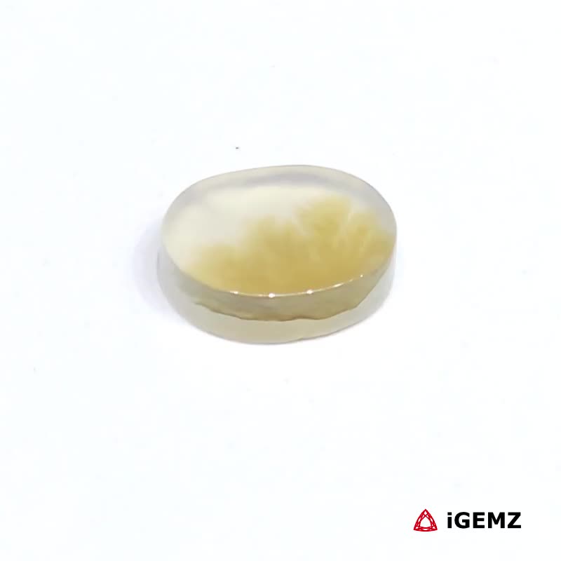 iGemz24610.1 2.19 ct Brown Dendritic Agate - iGemz24610 gemstone for sale at igemz.co.za