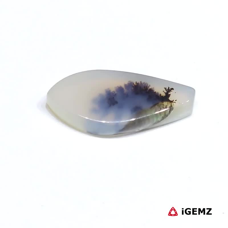 iGemz24612.1 6.58 ct Brown Dendritic Agate - iGemz24612 gemstone for sale at igemz.co.za