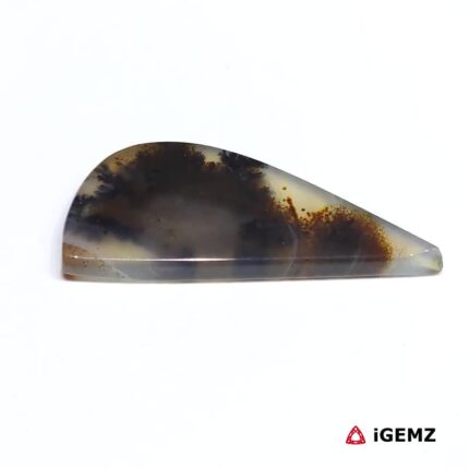 19.4 ct Brown Dendritic Agate - iGemz24613 gemstone for sale at igemz.co.za