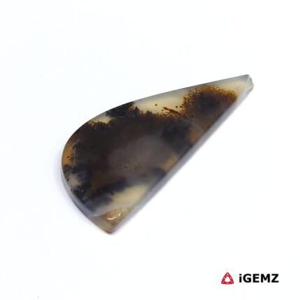 19.4 ct Brown Dendritic Agate - iGemz24613 gemstone for sale at igemz.co.za