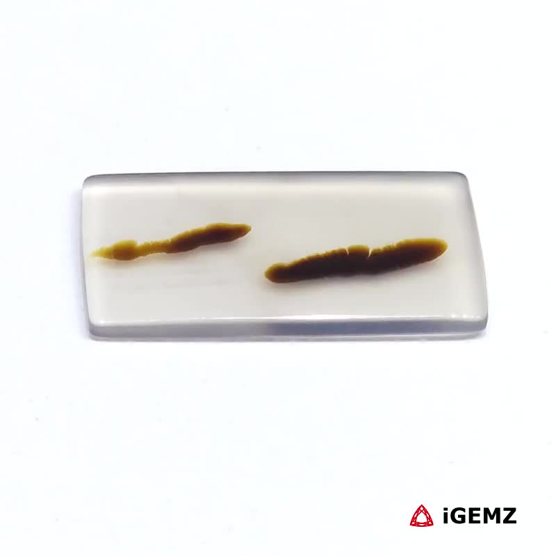 iGemz24616.1 5.12 ct Brown Dendritic Agate - iGemz24616 gemstone for sale at igemz.co.za