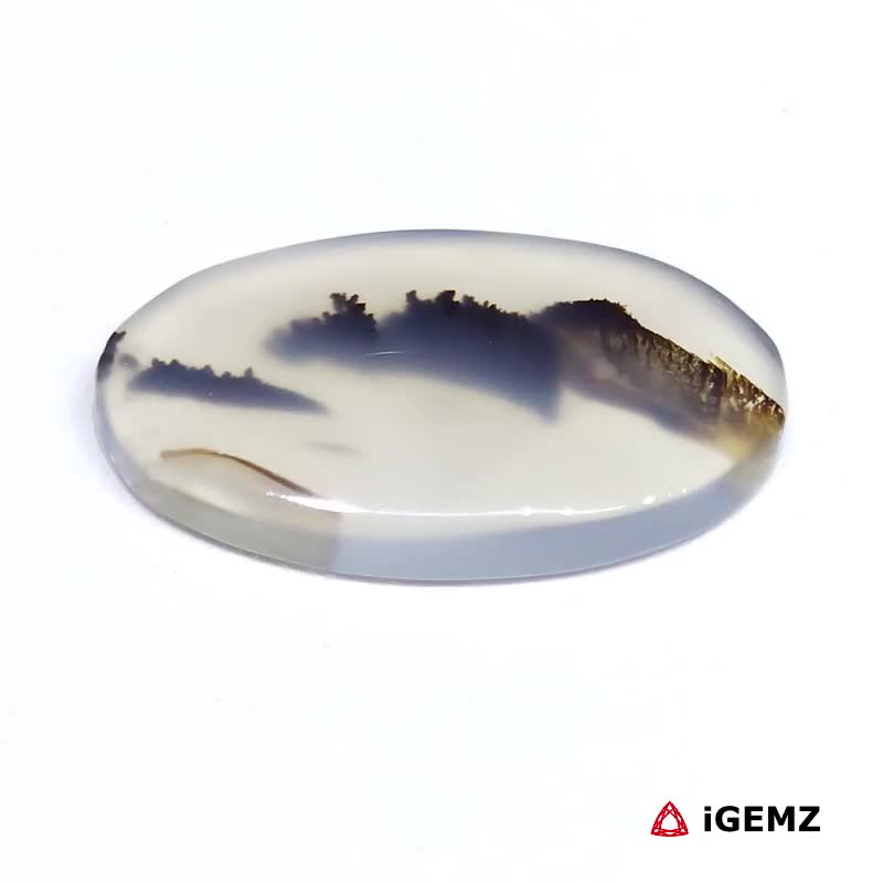 iGemz24617.1 15.9 ct Black Dendritic Agate - iGemz24617 gemstone for sale at igemz.co.za